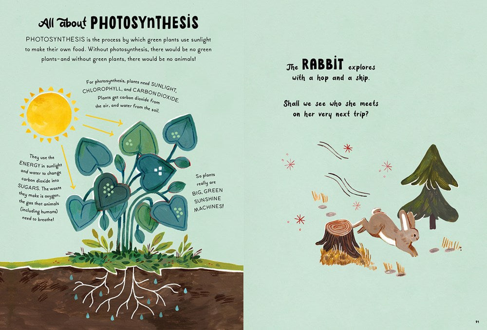 5-Minute Nature Stories by Gabby Dawnay | Hardcover | Children's Book