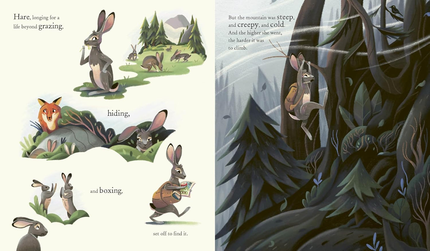 The Treasure by Marcela Ferreira | Hardcover | Children's Book