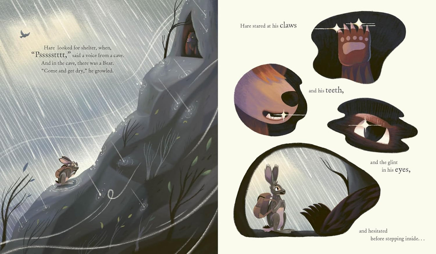 The Treasure by Marcela Ferreira | Hardcover | Children's Book