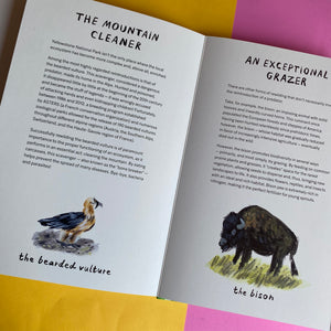 The Art of Rewilding: The Return of Yellowstone’s Wolves by Nadja Belhadj | Hardcover | Children's Book
